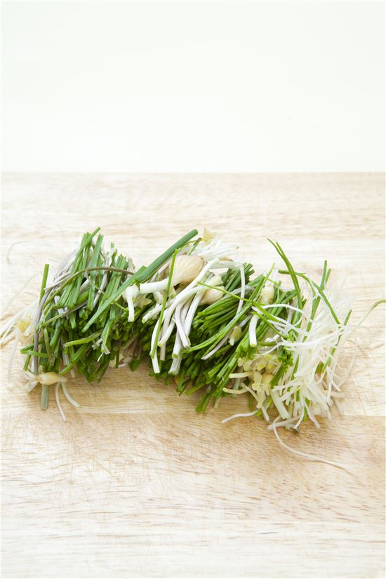 「오늘의 레시피」달래전