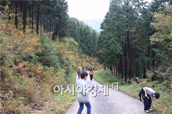 곡성군, 농촌체험휴양마을 운영 활성화 돕는다