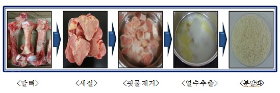 말뼈 펩타이드 처리 과정(사진:농촌진흥청)