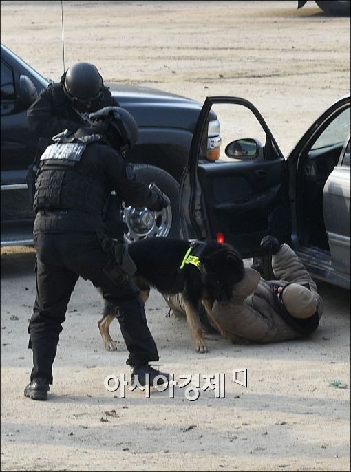 [포토]경찰·소방·군 합동 대테러훈련 실시