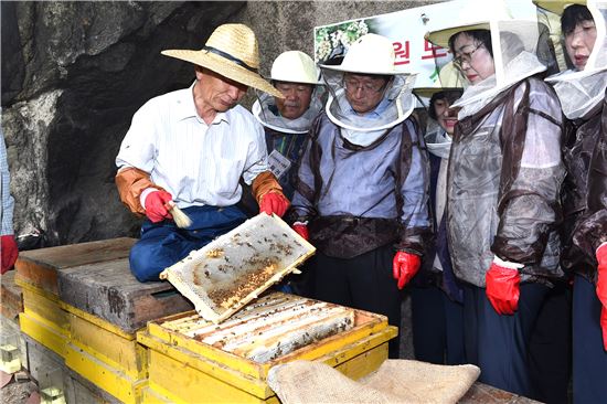 '녹색도시' 노원구, 환경부장관상 받은 이유 있었네?