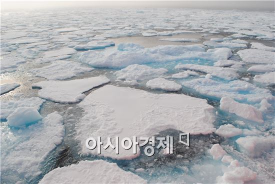 ▲2015년 8월 탐사 당시 만났던 북극의 해빙. 갈수록 해빙이 줄어들고 있다.