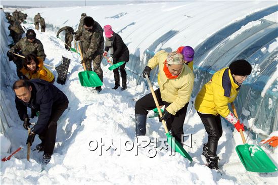 광주 북구와 건국동 주민센터, 31사단 장병들이 25일 연일 내린 폭설로 인한 하우스 피해를 예방하기 위해 용강동 지산딸기 재배 농가 비닐하우스에서 제설장비를 이용해 쌓인 눈을 치우고 있다. 사진제공=광주시 북구