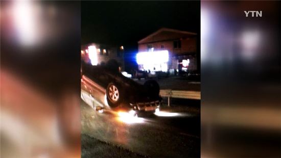 도로로 뛰쳐나온 승마용 말…역주행하다 차 들이받고 즉사