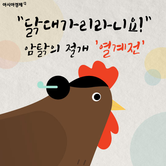 [카드뉴스]"닭대가리라뇨!" 암탉의 절개 '열계(鷄)전'