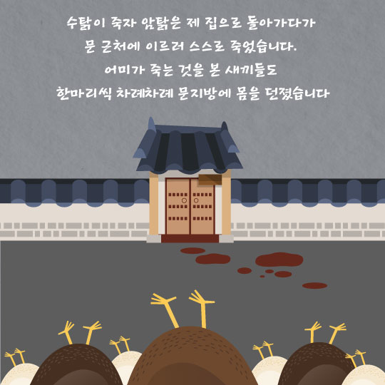 [카드뉴스]"닭대가리라뇨!" 암탉의 절개 '열계(鷄)전'