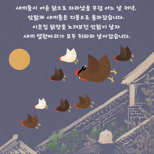[카드뉴스]"닭대가리라뇨!" 암탉의 절개 '열계(鷄)전'