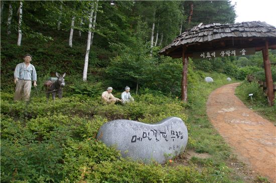 바다, 강, 숲따라 1600여 걷는길 중 여기어때