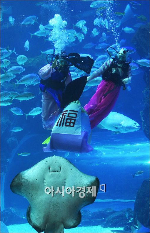 [포토]수중에서 전하는 새해인사