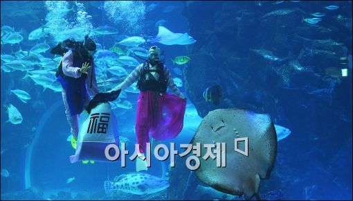 [포토]한화 아쿠아플라넷, 설 명절 이벤트