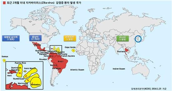 WHO, 전세계적 지카 경계 강화…"유충 박멸해야"