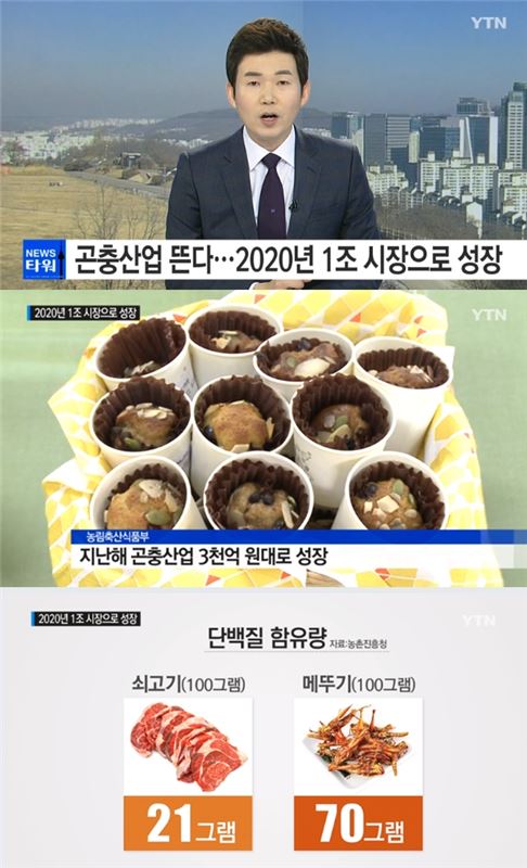 병원 식단을 소고기 대신 메뚜기로?