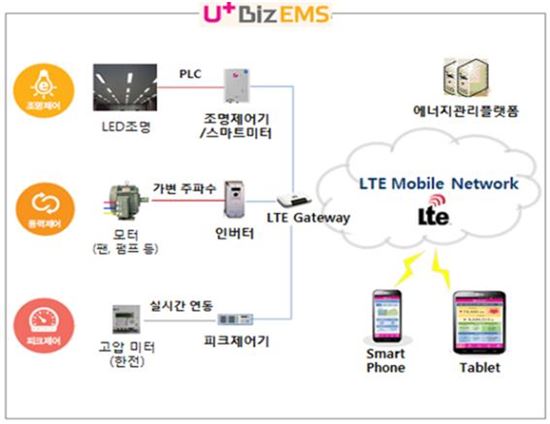 LG유플러스 'U+ 비즈 EMS' 개념도