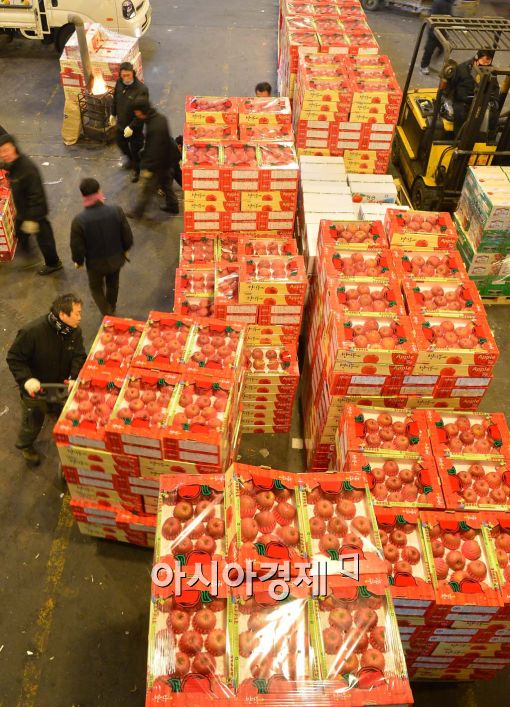 [포토]분주한 가락농수산시장 