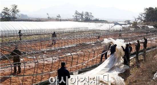 영암군, 폭설피해 민·군·관 함께 응급복구 총력