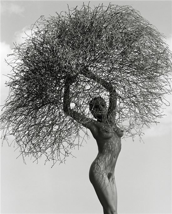 '나뭇가지를 든 네이트', 1986년
