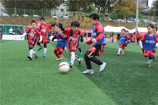 Future of FC서울 야드 프로반, 2016년 첫 공개 테스트