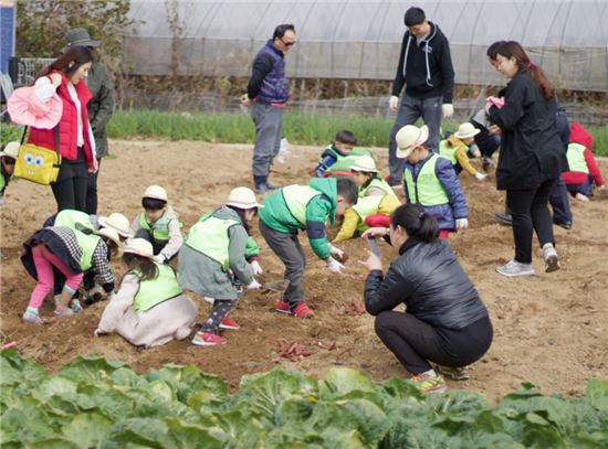 영등포구, 오쇠동 소재 농장 115구좌 분양