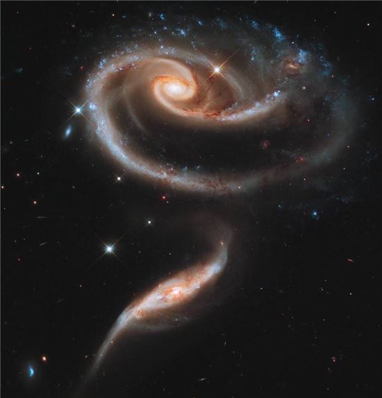 ▲두 개의 은하가 상호 작용하면서 장미꽃을 연출하고 있다.[사진제공=NASA/ESA]