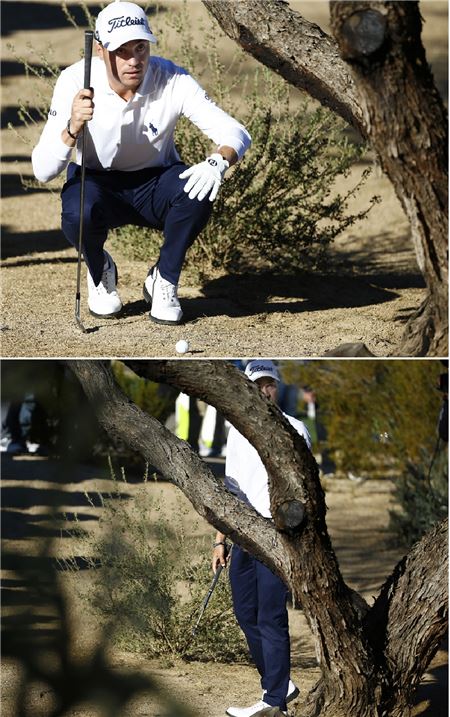저스틴 토마스가 나무 뒤에서 트러블 샷을 고민하고 있다.