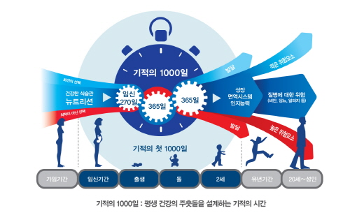 처음 1000일 중요성 (출처 : Nestl? Korea 'The first 1000 day, Programming your future health' )