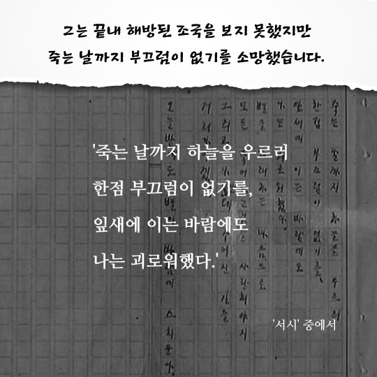 [카드뉴스]윤동주의 시가 필요한 오늘