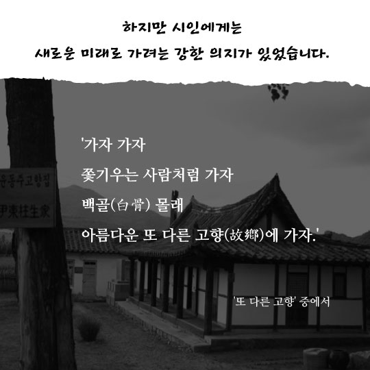 [카드뉴스]윤동주의 시가 필요한 오늘