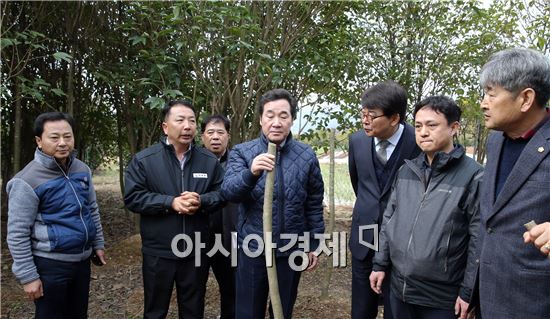 이낙연 전남도지사, 장흥 황칠 소득숲 재배단지 둘러봐