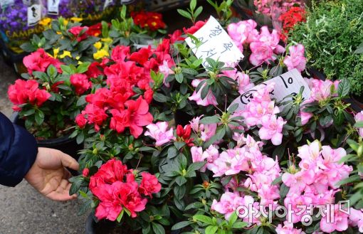 [포토]봄을 준비하는 손길 