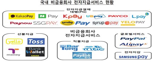 "신종 전자지급서비스 위한 소비자 피해대책 마련해야"