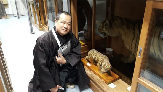 日에 잡혀간 大虎(조선 호랑이), 100년만의 귀환작전