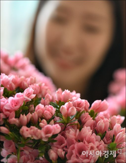 [포토]여심 미소짓게 만드는 봄꽃