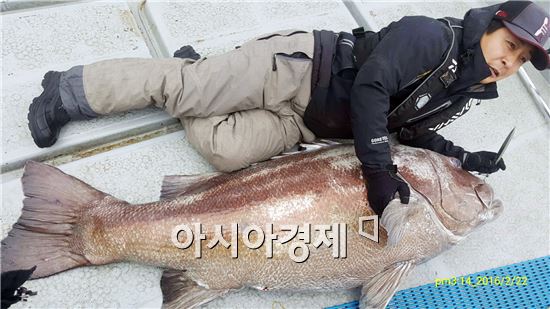 사람키보다 큰 175㎝짜리 초대형 ‘돗돔’ 잡혀