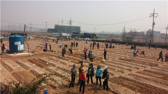 도시농부 꿈꾸는 당신 텃밭 분양받으세요