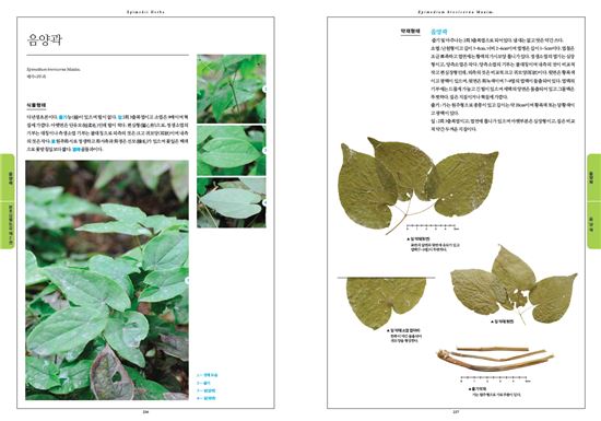 [건강을 읽다]가짜 한약재, 이젠 꼼짝마