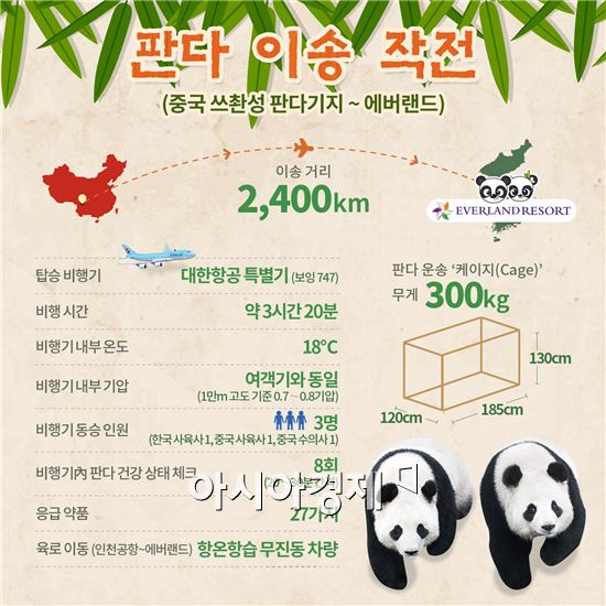 쓰촨성에서 에버랜드까지 2400km "판다 이송 작전"