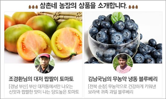 롯데닷컴, 대저토마토 등  제철 농산물 판매