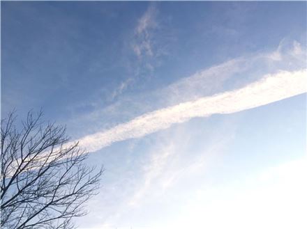 [조문환의 평사리日記]구름다리