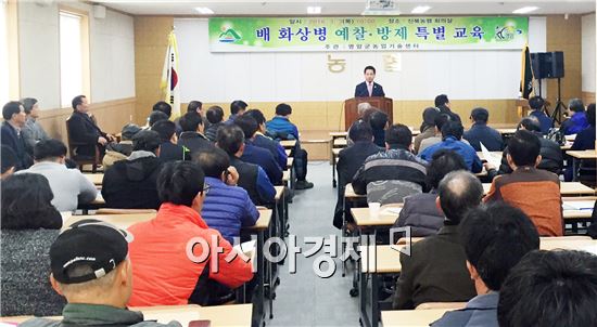 영암군, 배 화상병 예찰과 방제를 위한 특별교육 실시