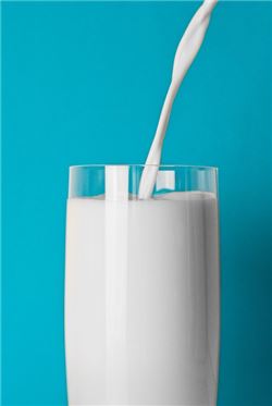 [건강을 읽다]우유의 감춰진 진실…암 예방에 효과