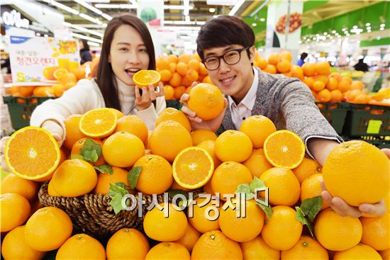 농협유통, 국산 오렌지 '청견' 첫 출하品 선봬