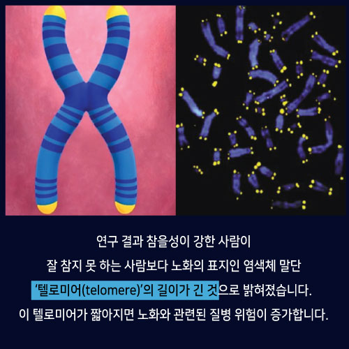 [카드뉴스]잘 참으면 오래 산다?