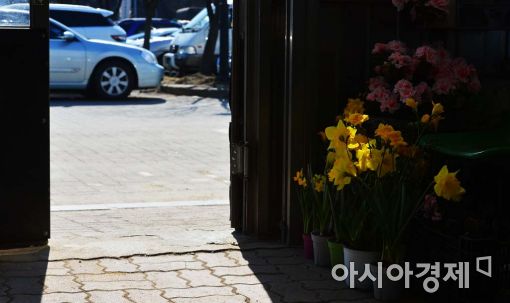 [포토]꽃샘추위를 피해 