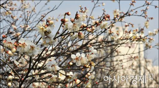 [포토]봄기운 물씬