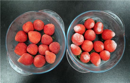 '정온냉동' 기술을 적용한 냉동고에서 보관한 딸기(왼쪽)와 일반냉동고에서 보관한 딸기(오른쪽). 왼쪽의 딸기는 성에가 끼지 않고 신선하게 보관됐다.