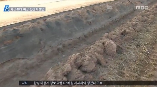 화성 농수로서 40대 시신 발견. 사진=MBC 뉴스 화면 캡처.