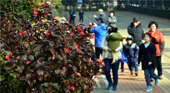 [여행만리]툭 떨어진 꽃이 톡 터트린 봄
