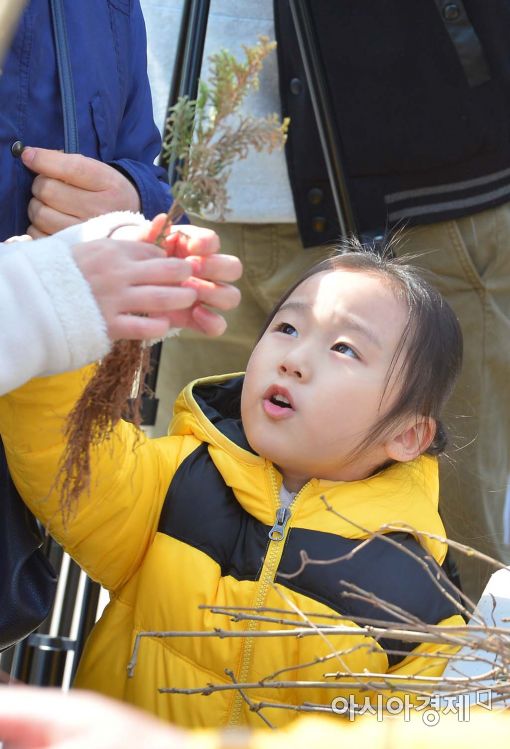[포토]'이게 나무가 되요?'