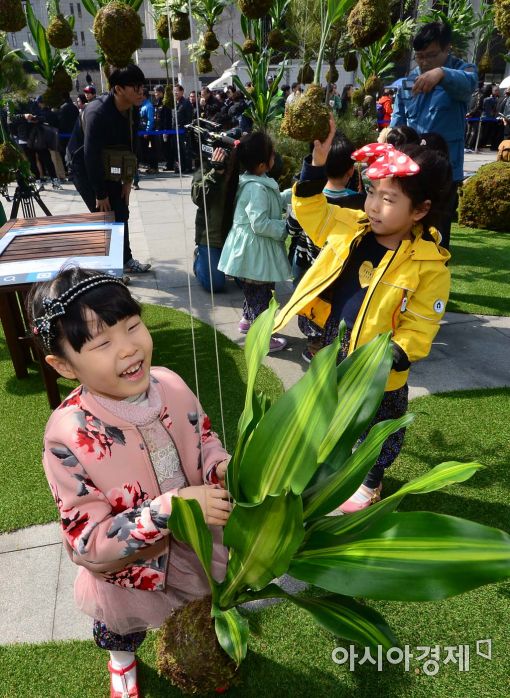 [포토]'이 나무가 하늘만큼 자라요?'