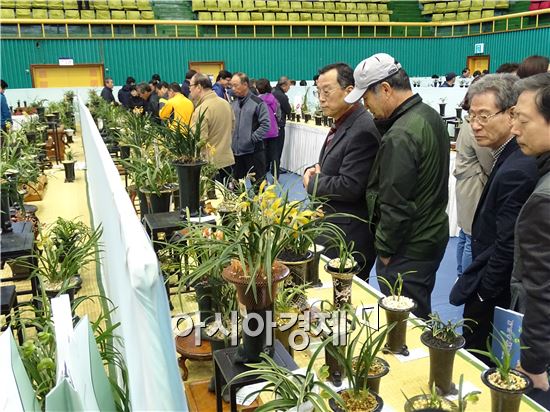 [포토]그윽한 난 향기에 취해볼까